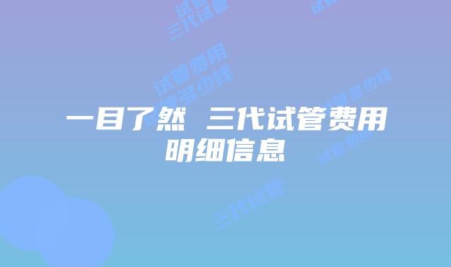 一目了然 三代试管费用明细信息