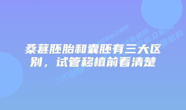 桑葚胚胎和囊胚有三大区别，试管移植前看清楚