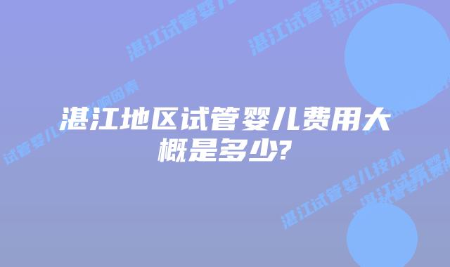 湛江地区试管婴儿费用大概是多少?