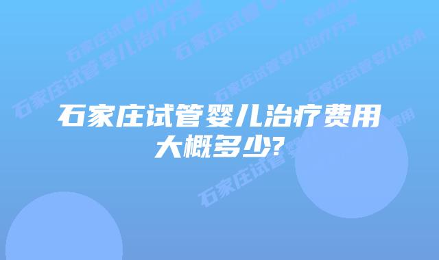 石家庄试管婴儿治疗费用大概多少?