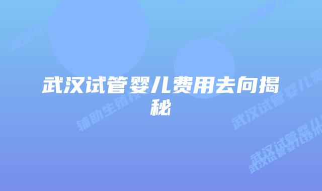 武汉试管婴儿费用去向揭秘
