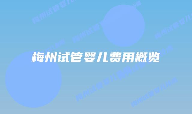 梅州试管婴儿费用概览