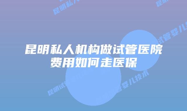 昆明私人机构做试管医院费用如何走医保