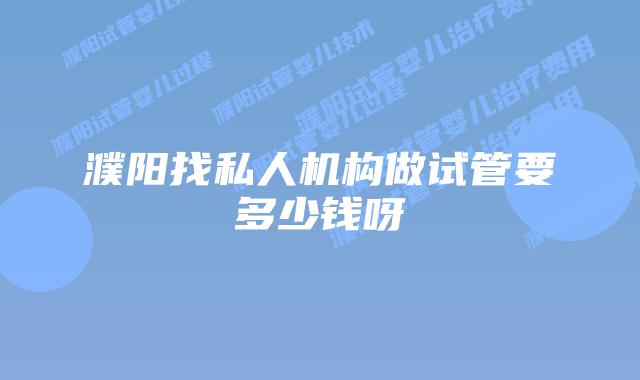 濮阳找私人机构做试管要多少钱呀