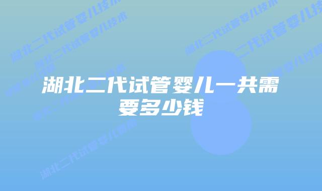 湖北二代试管婴儿一共需要多少钱
