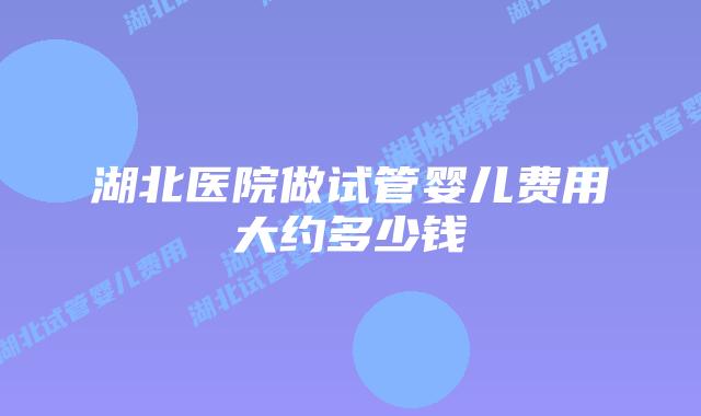 湖北医院做试管婴儿费用大约多少钱