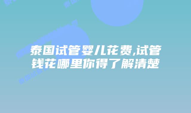 泰国试管婴儿花费,试管钱花哪里你得了解清楚
