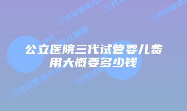 公立医院三代试管婴儿费用大概要多少钱