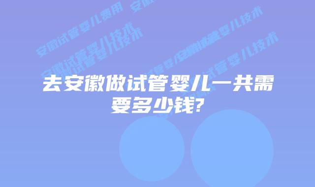 去安徽做试管婴儿一共需要多少钱?