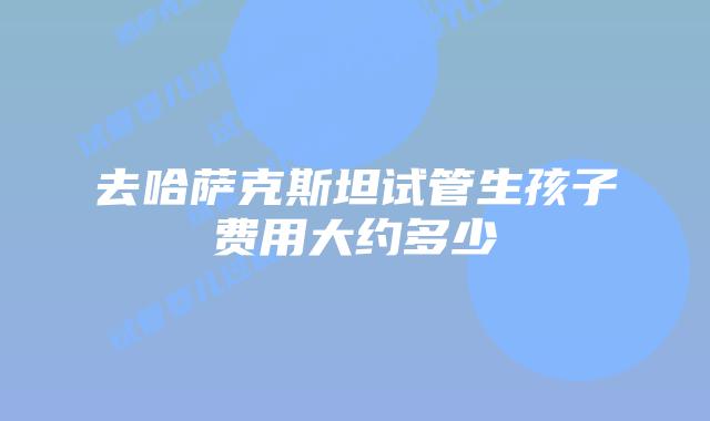 去哈萨克斯坦试管生孩子费用大约多少