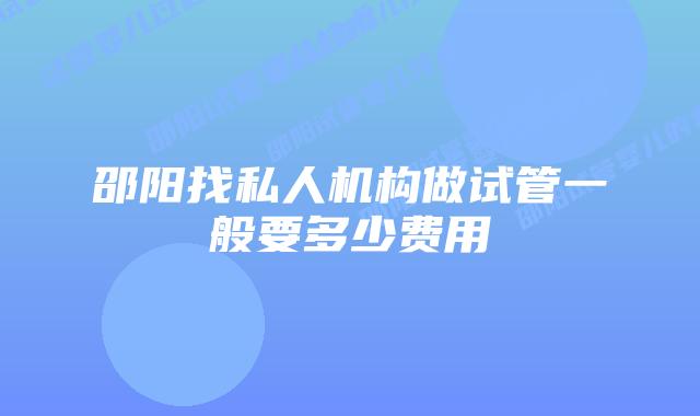 邵阳找私人机构做试管一般要多少费用