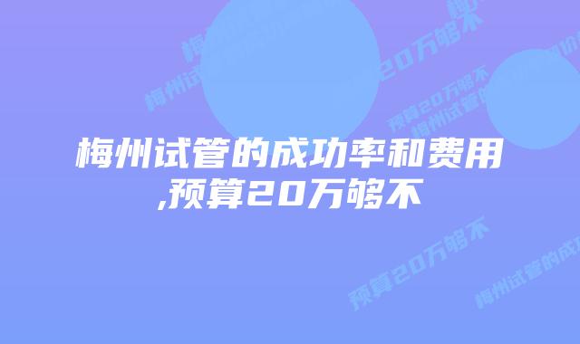 梅州试管的成功率和费用,预算20万够不