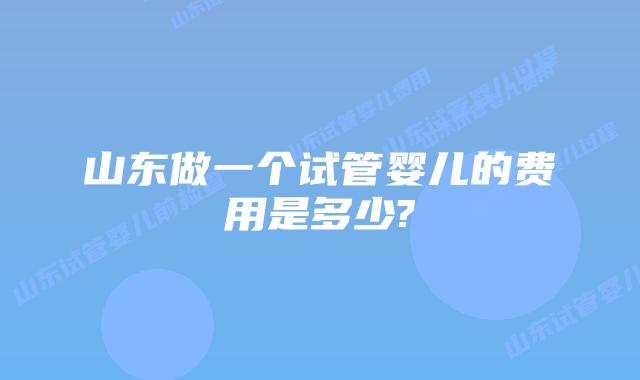 山东做一个试管婴儿的费用是多少?