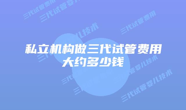 私立机构做三代试管费用大约多少钱