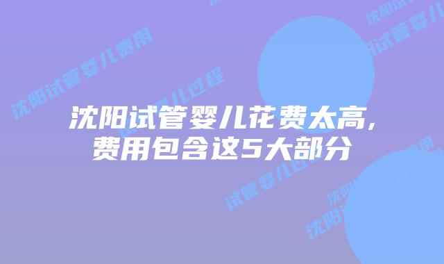 沈阳试管婴儿花费太高,费用包含这5大部分