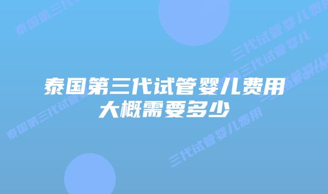 泰国第三代试管婴儿费用大概需要多少