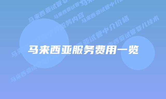 马来西亚服务费用一览