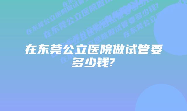 在东莞公立医院做试管要多少钱?