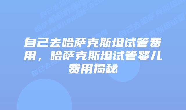 自己去哈萨克斯坦试管费用,哈萨克斯坦试管婴儿费用揭秘