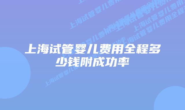 上海试管婴儿费用全程多少钱附成功率