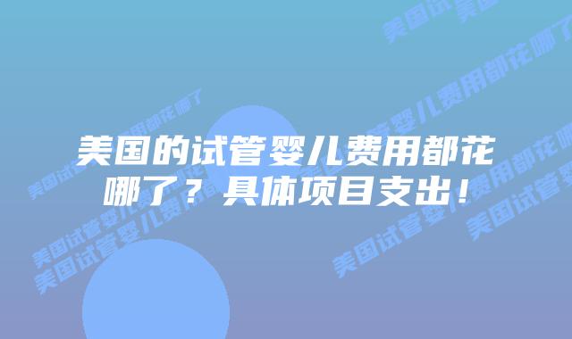美国的试管婴儿费用都花哪了?具体项目支出!