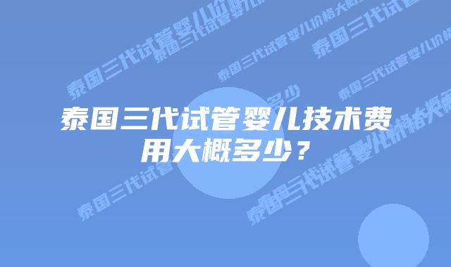 泰国三代试管婴儿技术费用大概多少?