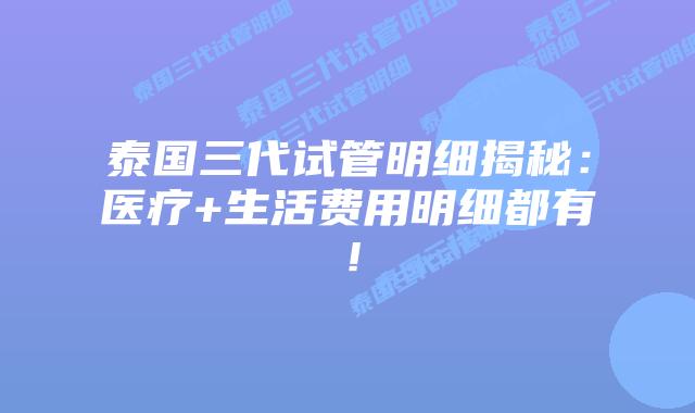 泰国三代试管明细揭秘：医疗+生活费用明细都有！