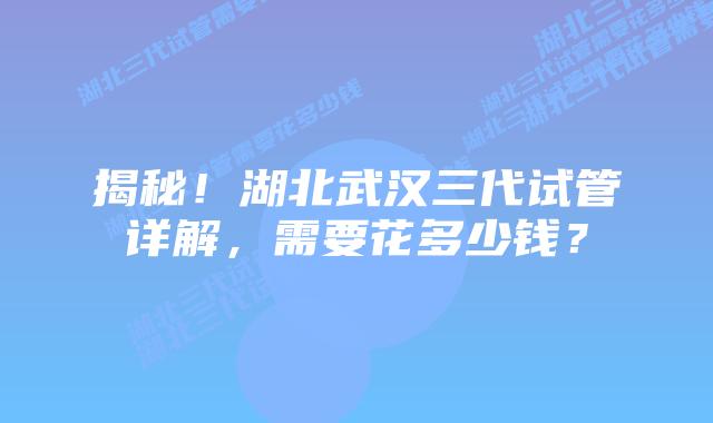 揭秘!湖北武汉三代试管详解,需要花多少钱?