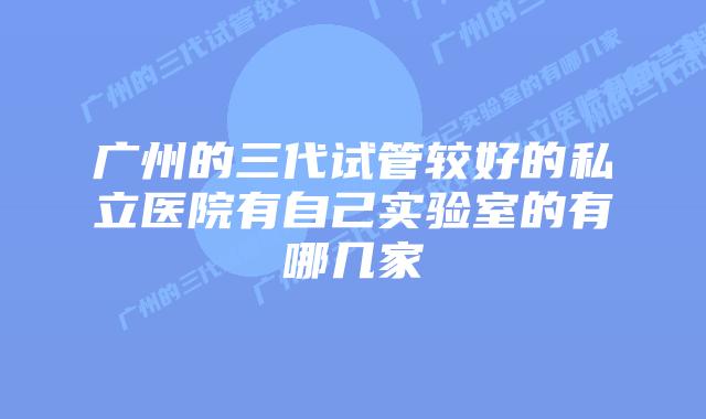 广州的三代试管较好的私立医院有自己实验室的有哪几家