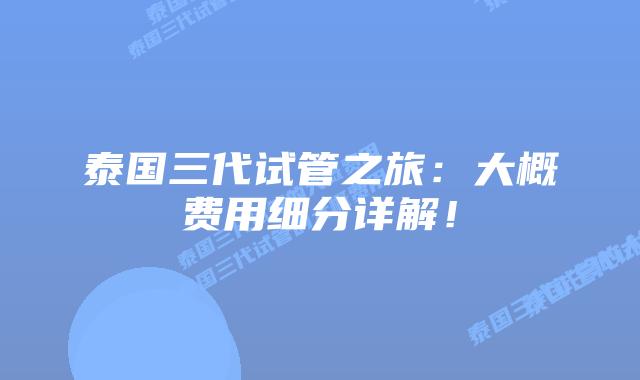 泰国三代试管之旅:大概费用细分详解!