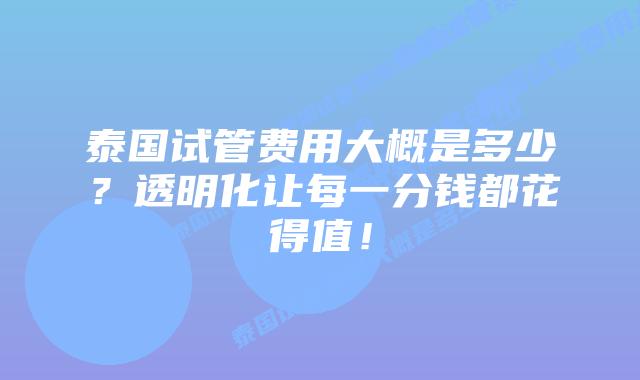 泰国试管费用大概是多少？透明化让每一分钱都花得值！