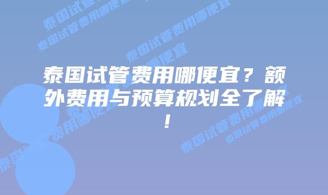 泰国试管费用哪便宜?额外费用与预算规划全了解!