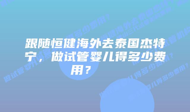 跟随恒健海外去泰国杰特宁,做试管婴儿得多少费用?