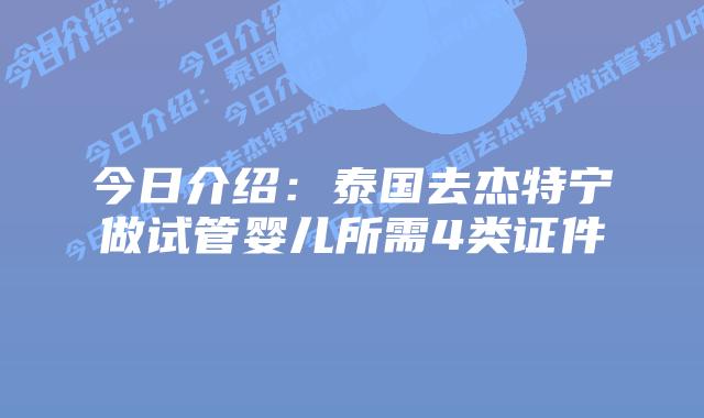 今日介绍:泰国去杰特宁做试管婴儿所需4类证件