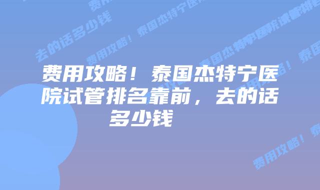 费用攻略!泰国杰特宁医院试管排名靠前,去的话多少钱