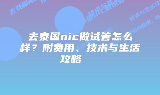 去泰国nic做试管怎么样？附费用、技术与生活攻略    
