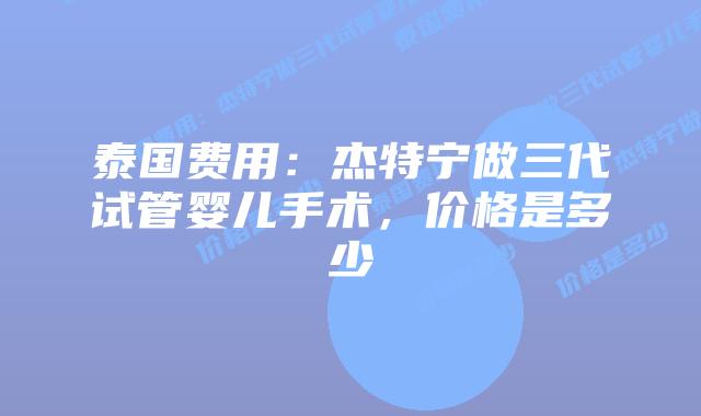 泰国费用：杰特宁做三代试管婴儿手术，价格是多少