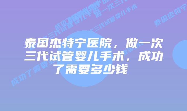 泰国杰特宁医院,做一次三代试管婴儿手术,成功了需要多少钱