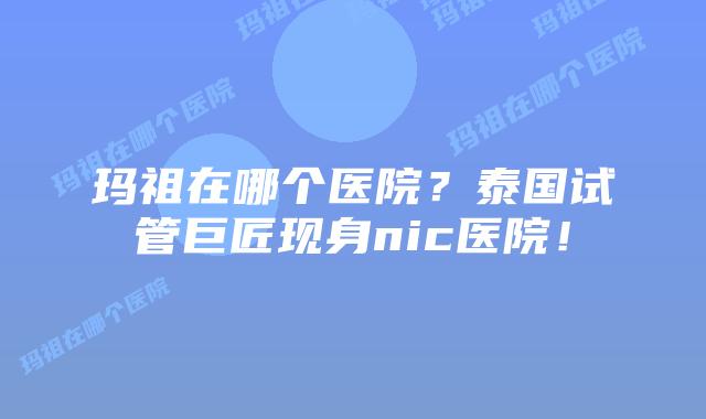 玛祖在哪个医院?泰国试管巨匠现身nic医院!