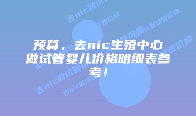 预算,去nic生殖中心做试管婴儿价格明细表参考!