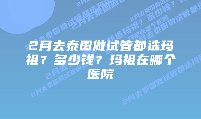 2月去泰国做试管都选玛祖?多少钱?玛祖在哪个医院
