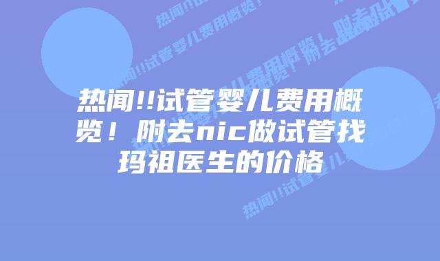 热闻!!试管婴儿费用概览!附去nic做试管找玛祖医生的价格