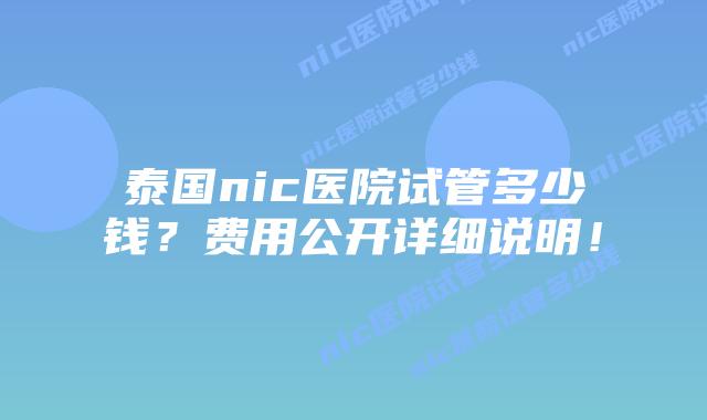 泰国nic医院试管多少钱?费用公开详细说明!