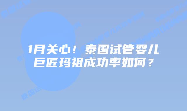 1月关心！泰国试管婴儿巨匠玛祖成功率如何？