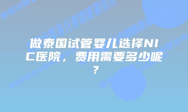 做泰国试管婴儿选择NIC医院,费用需要多少呢?