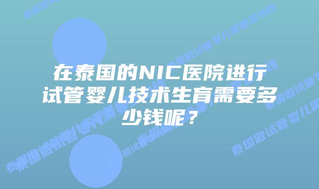 在泰国的NIC医院进行试管婴儿技术生育需要多少钱呢？