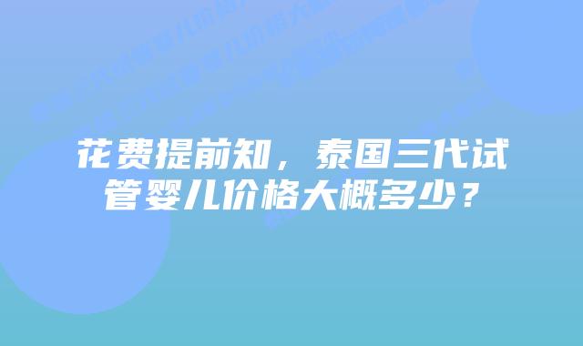 花费提前知，泰国三代试管婴儿价格大概多少？