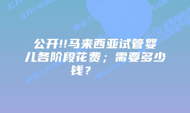 公开!!马来西亚试管婴儿各阶段花费;需要多少钱?