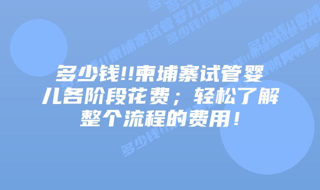 多少钱!!柬埔寨试管婴儿各阶段花费;轻松了解整个流程的费用!