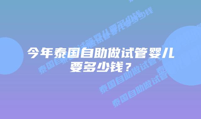 今年泰国自助做试管婴儿要多少钱？
